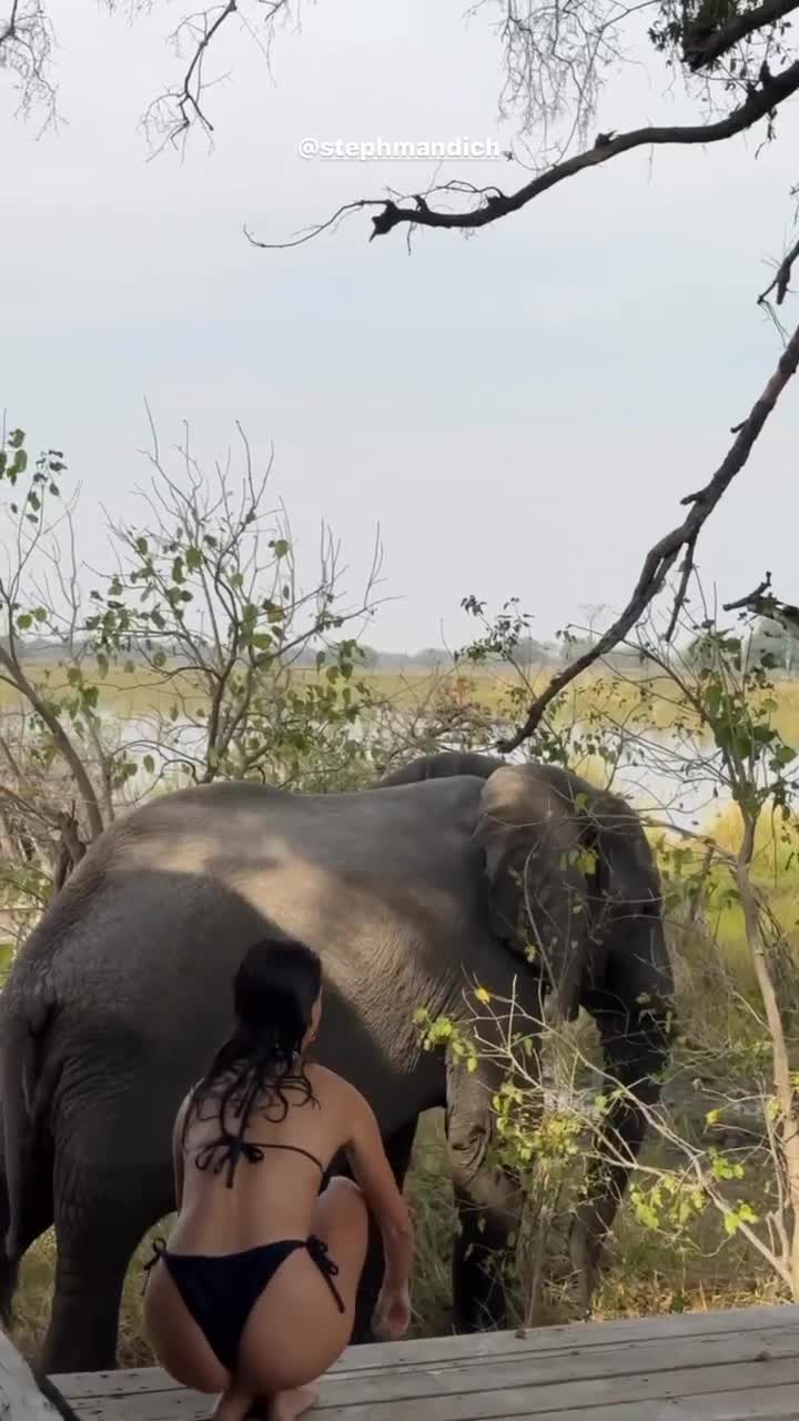 Video 662836 from Steph Mandich