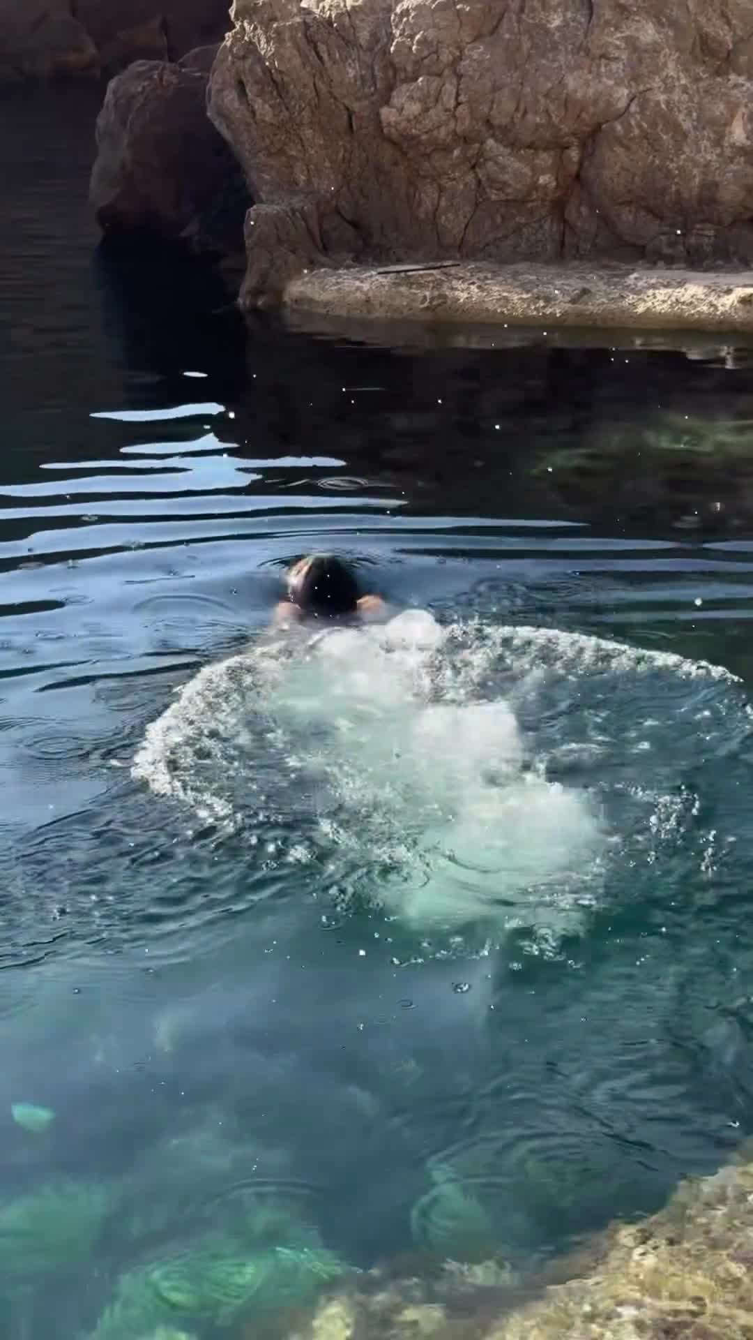 Video 662872 from Steph Mandich