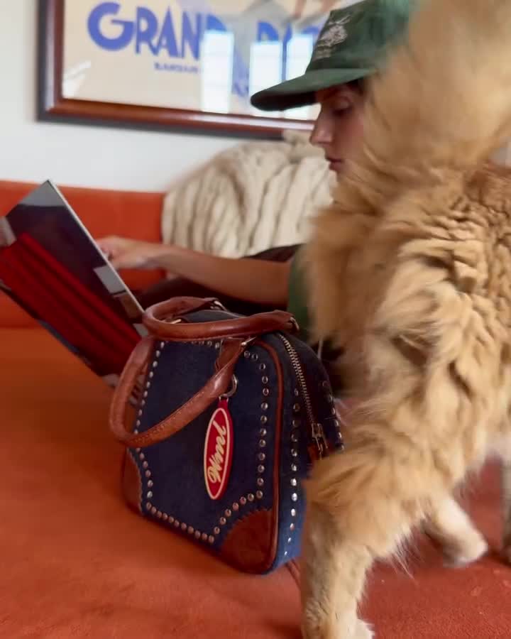 Video 663616 from Steph Mandich