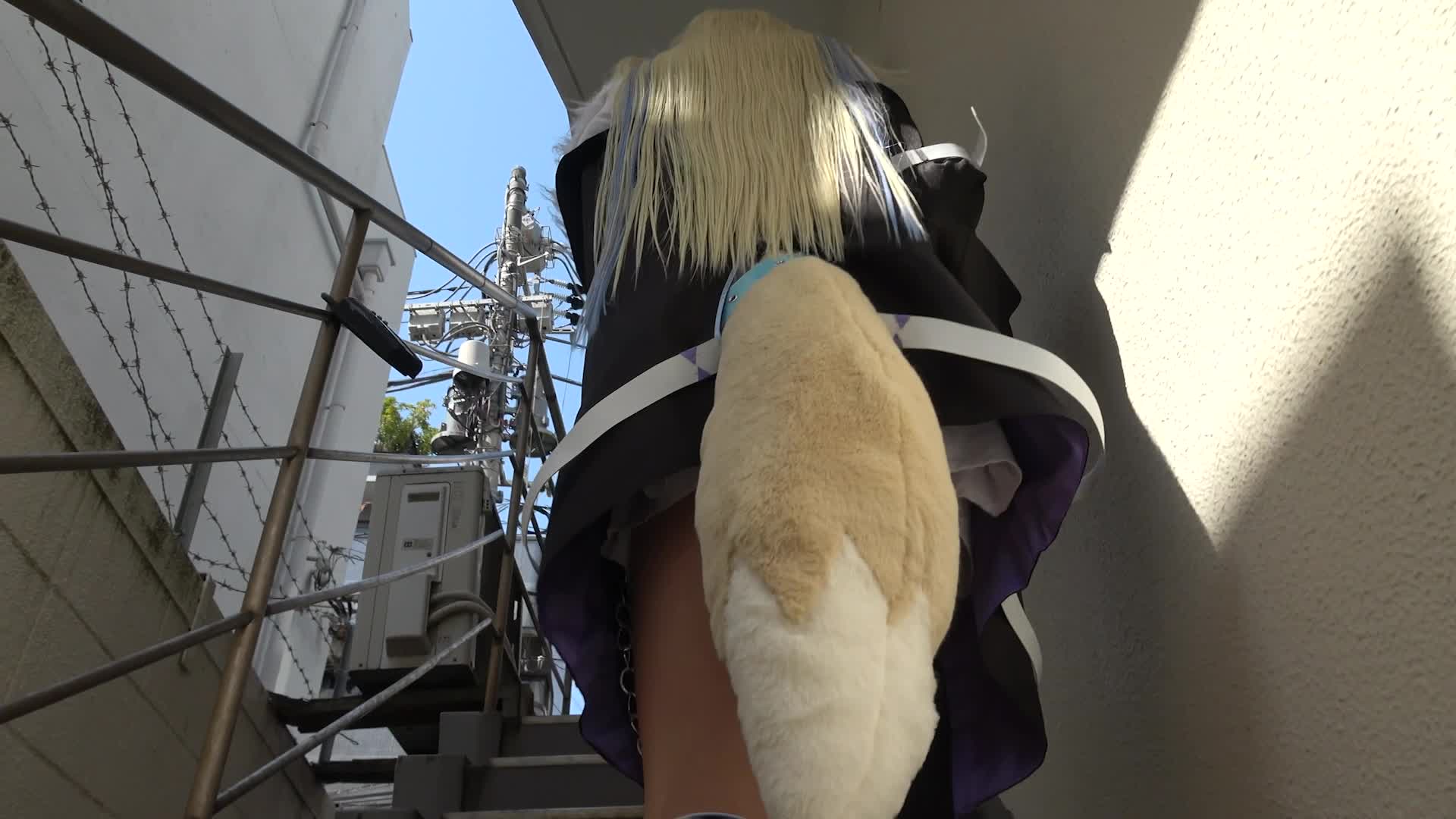 Video 682386 from ぱるぷんて (ぱるぷんて) - Parupunte - Palupunte_2013