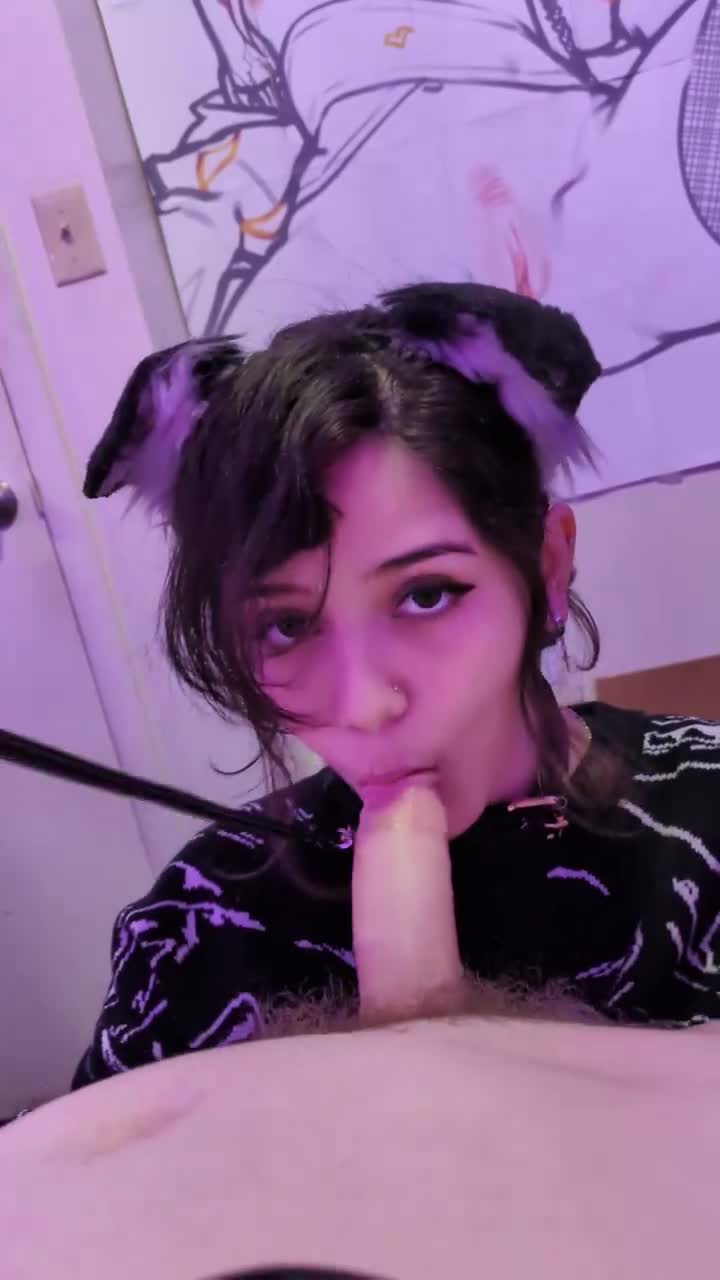 Video 684114 from Figgypupz