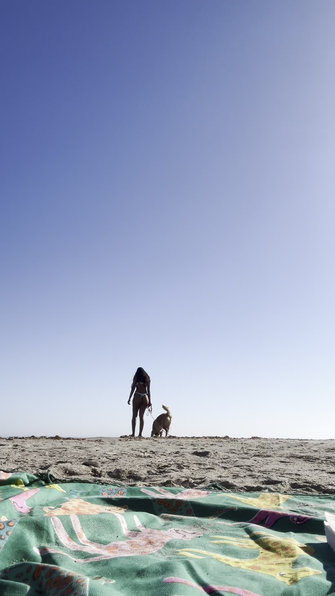 Video 685606 from ritishaaaaaaaaaa / ritisharajkumar