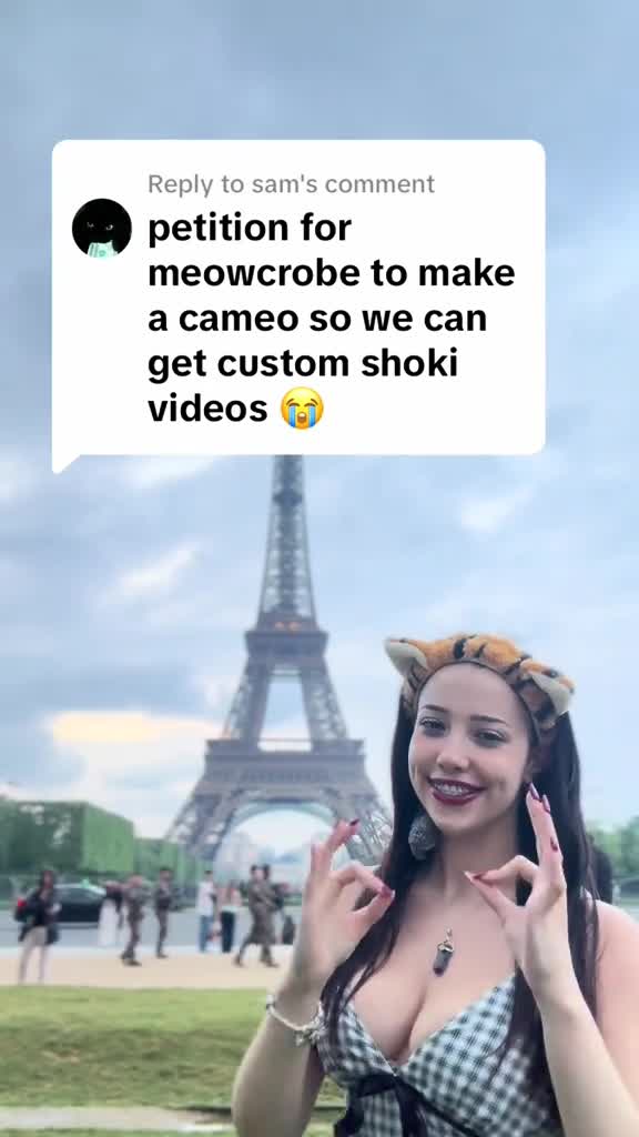 Video 690160 from Meowcrobe