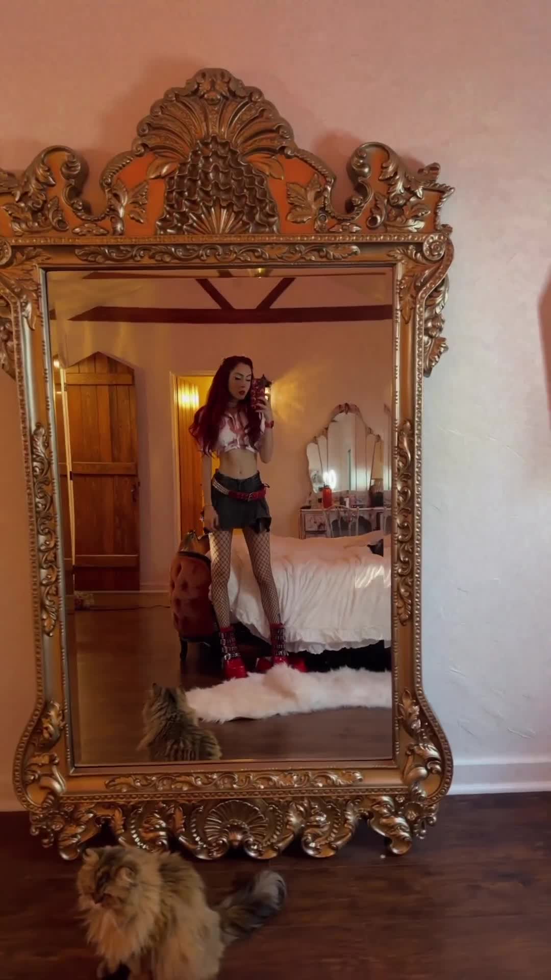 Video 698275 from Maren Altman