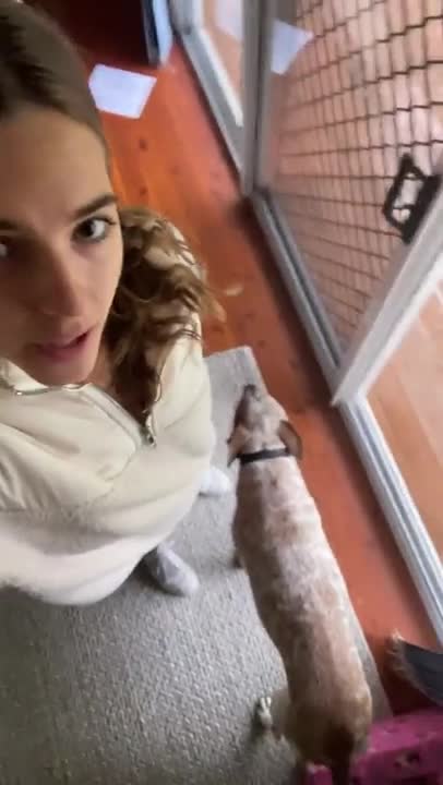 Video 699037 from Emily Feld - emily.feld