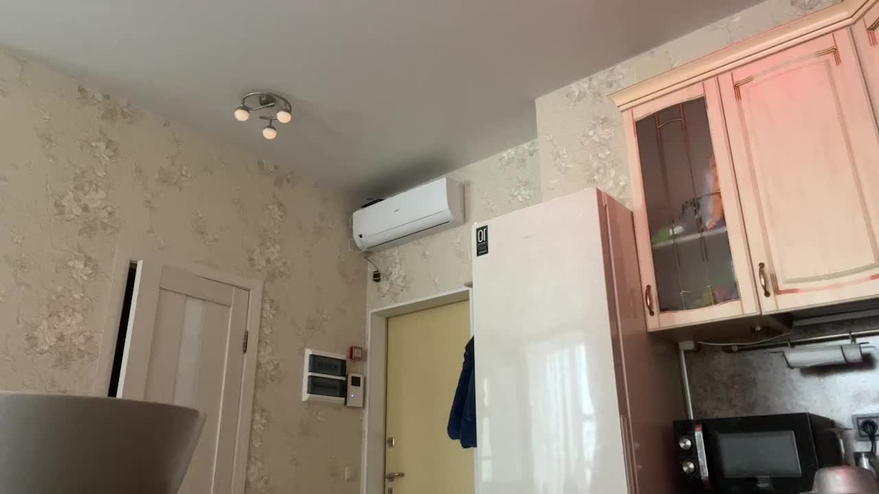 Video 699417 from polina__li