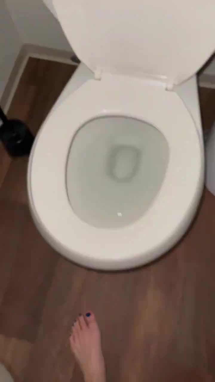 Video 699473 from Bao | Baovtuber | hoejousama