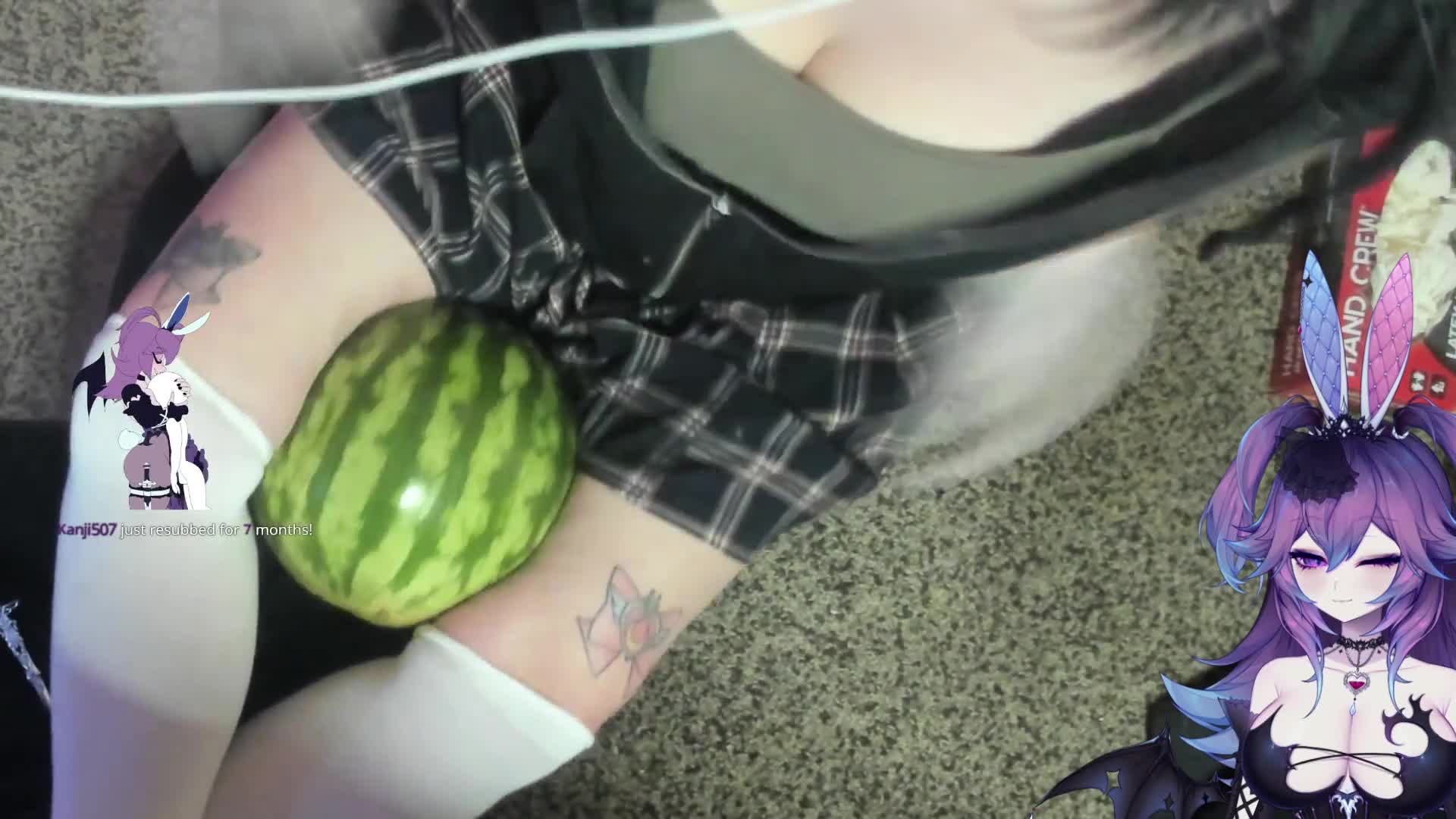 Video 699652 from CottontailVA