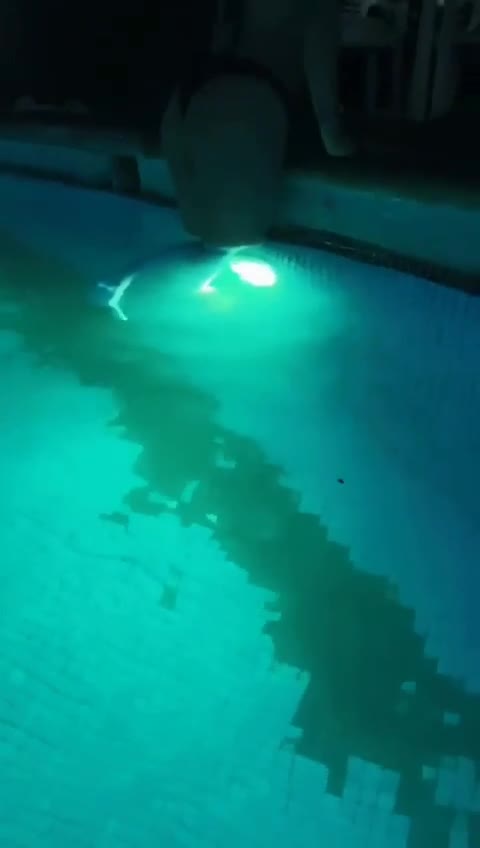 Video 699782 from Stephanie vaquer