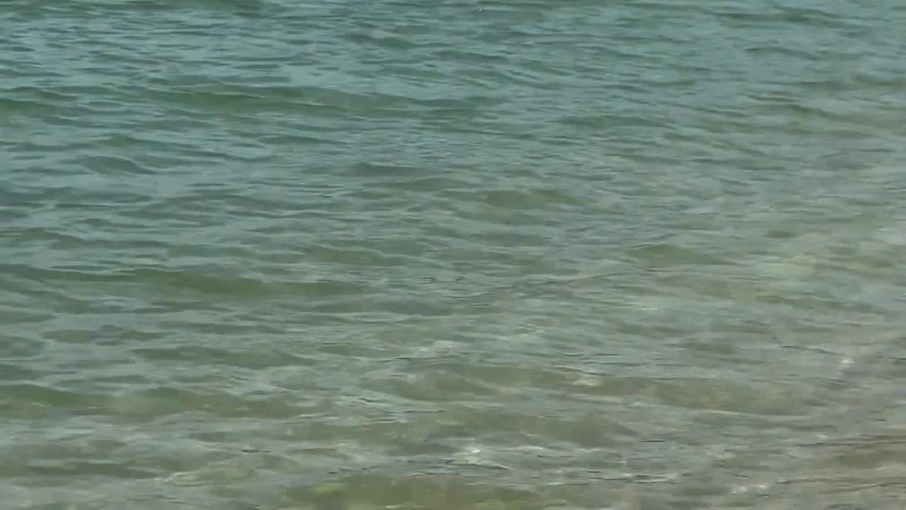 Video 702222 from dirungzi