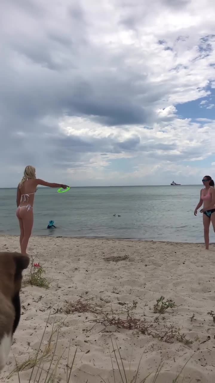 Video 703362 from Bridget Williams/BridgetKWilliams_