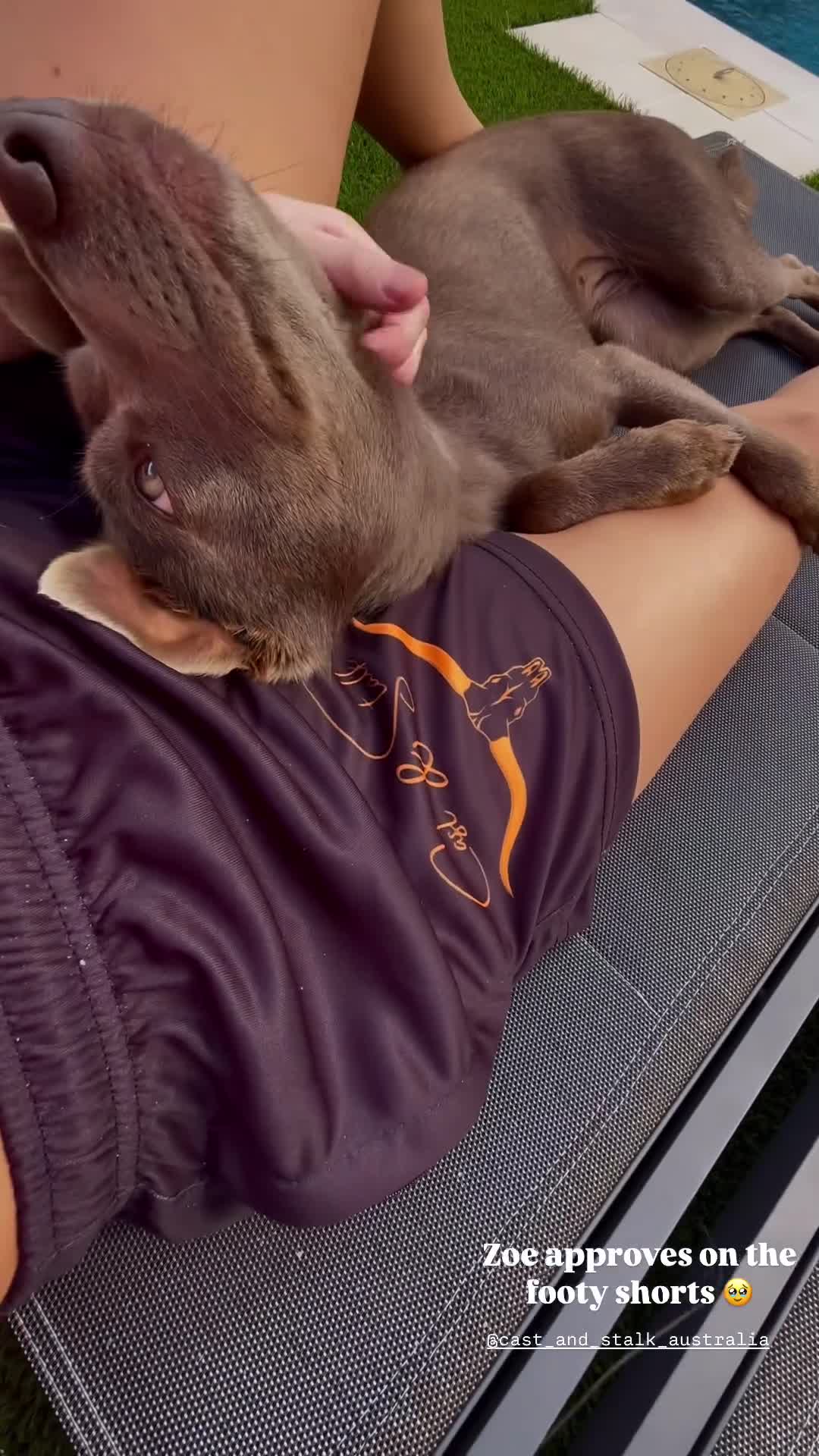 Video 715084 from Jadejacobs