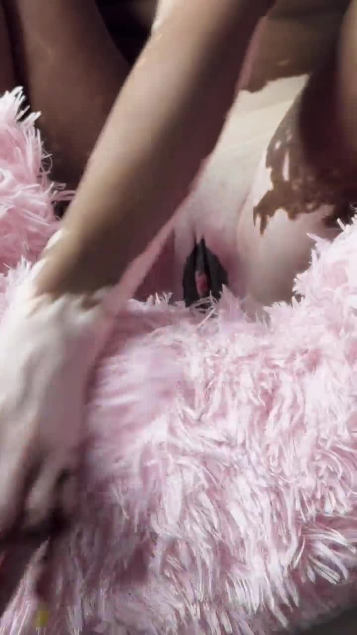 Video 720360 from Curiositeaaa/ Trayceeteaa