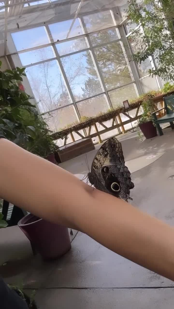 Video 738563 from Andrea Gutiérrez (Andreagtzro) Mexican Influencer