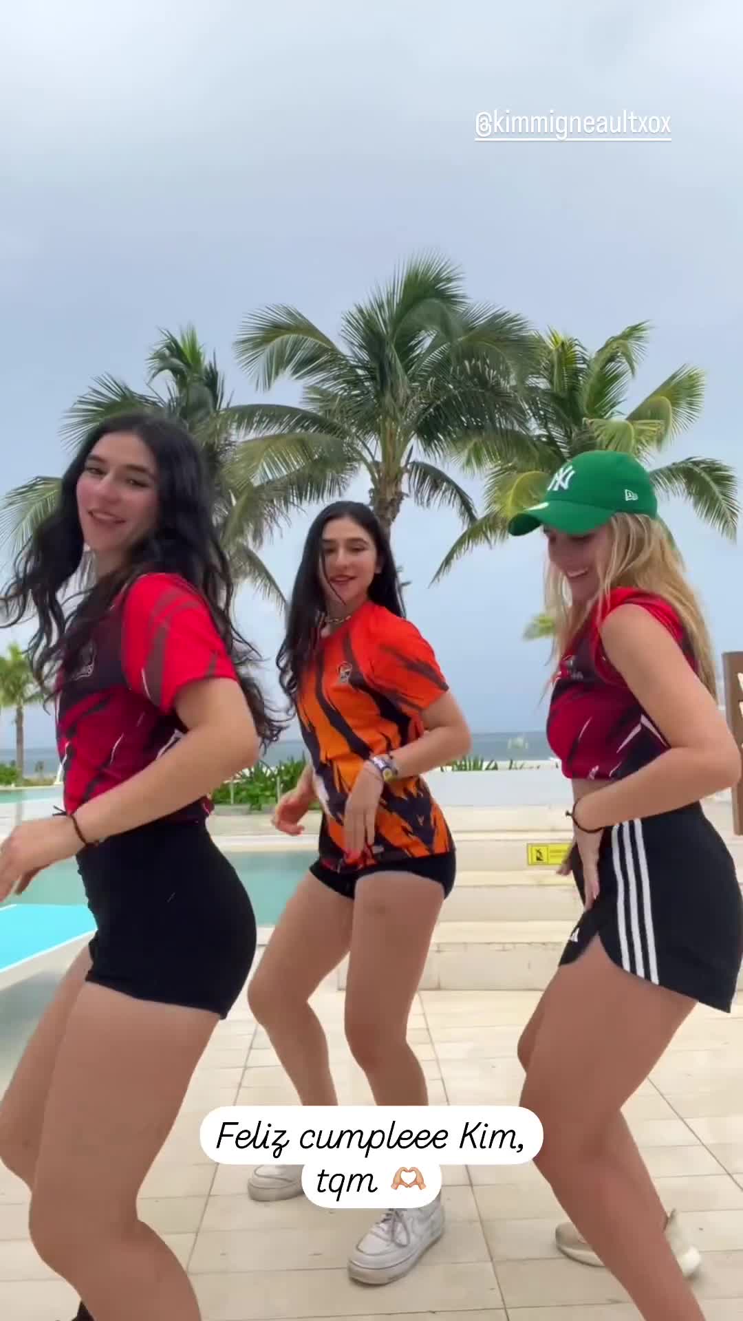 Video 740090 from Arayfer (@arayfer_hernandez)