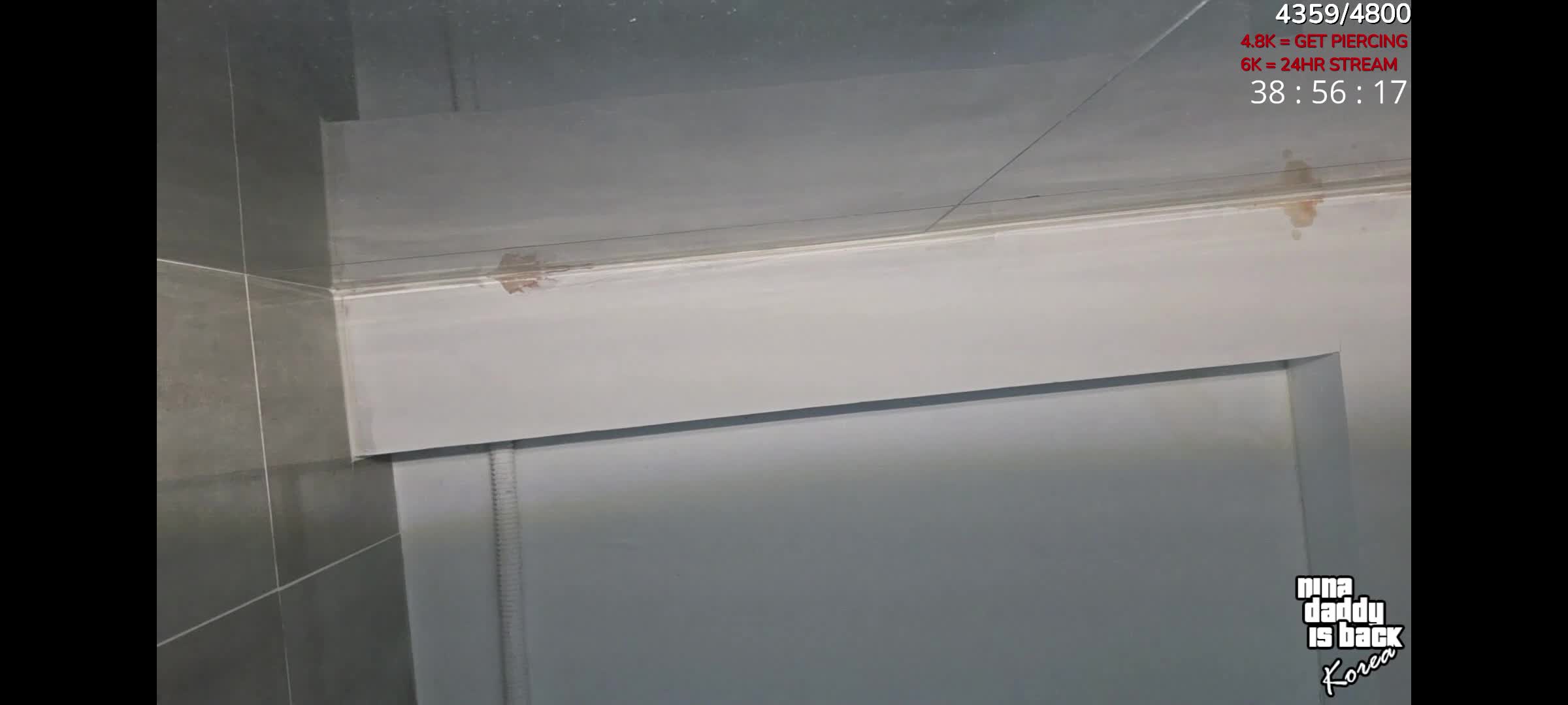 Video 740336 from n.nina666