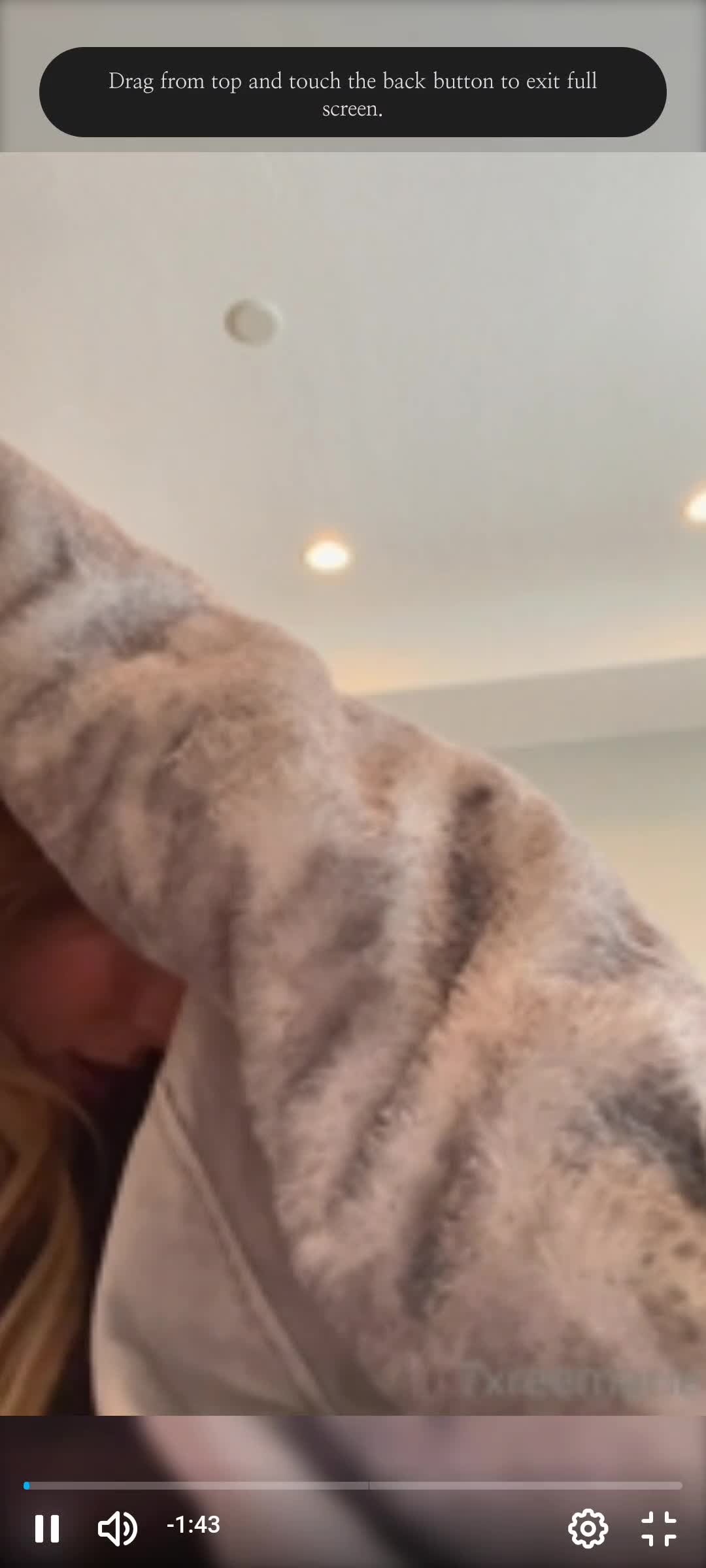 Video 742020 from ReeMarie | TXReeMarie