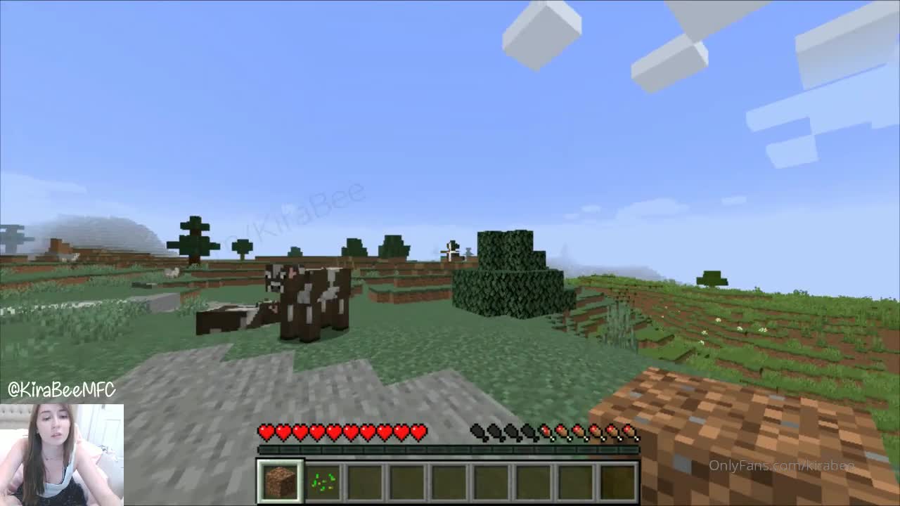 Video 762695 from Kirabee / Kitten Sophie