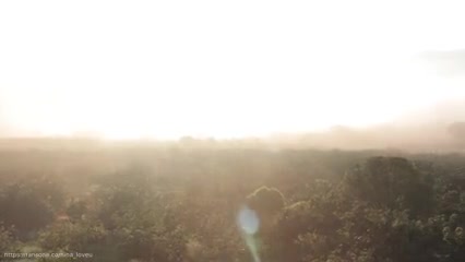 Video 781799 from nina_loveu | ninaleee