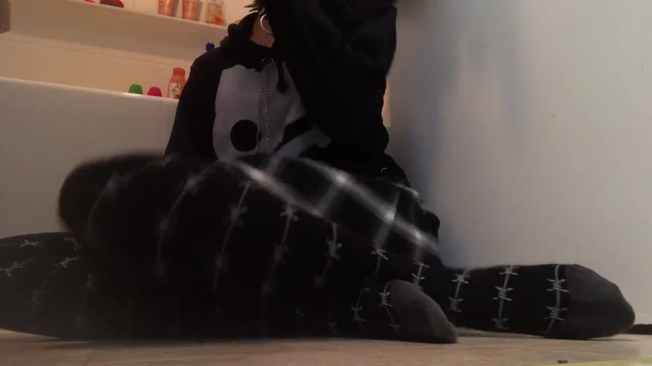 Video 782338 from Doggie_Drool