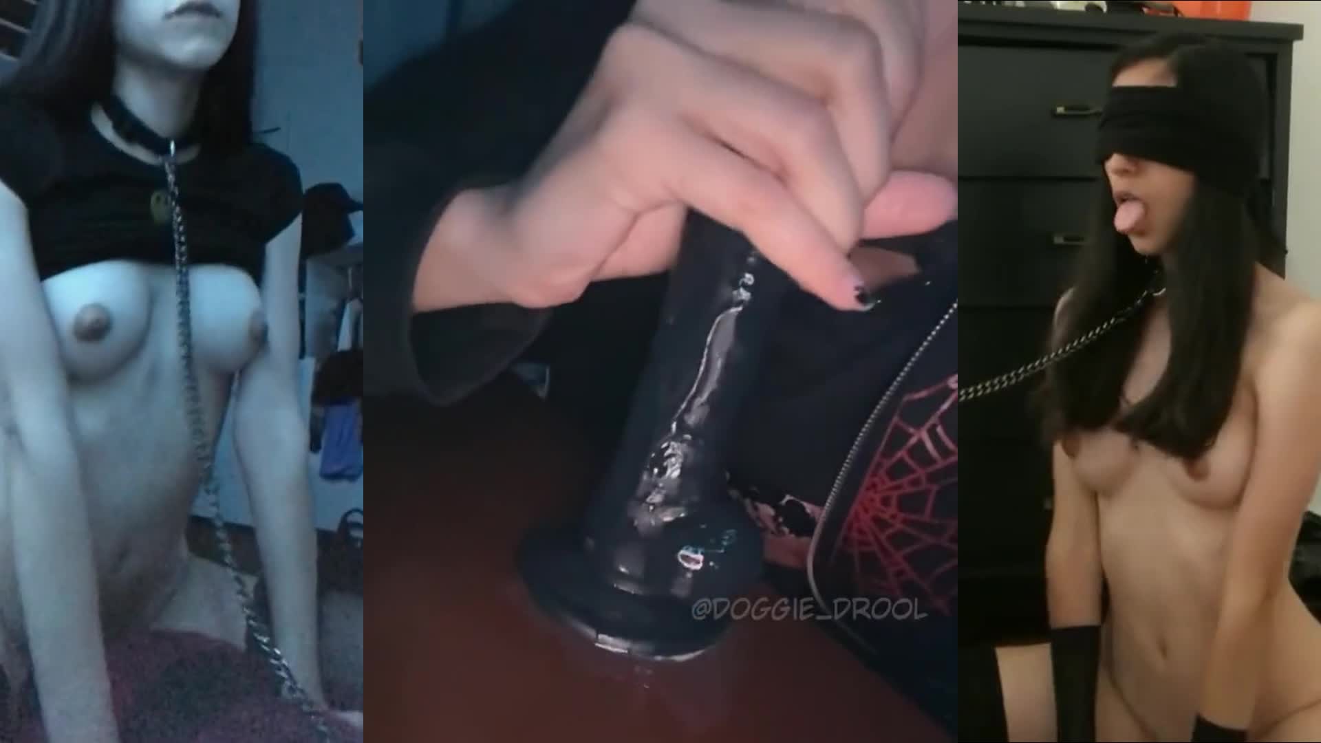 Video 782425 from Doggie_Drool