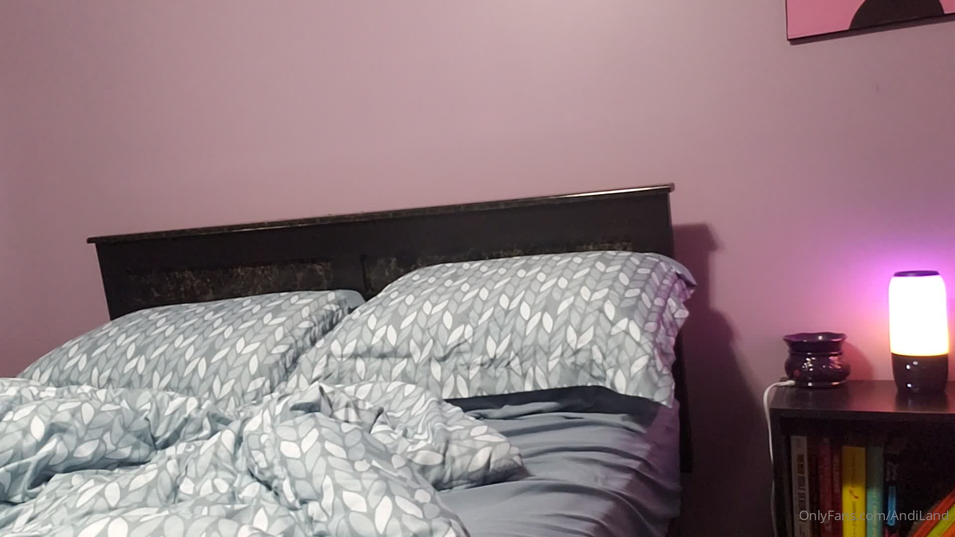 Video 785021 from Andi Land