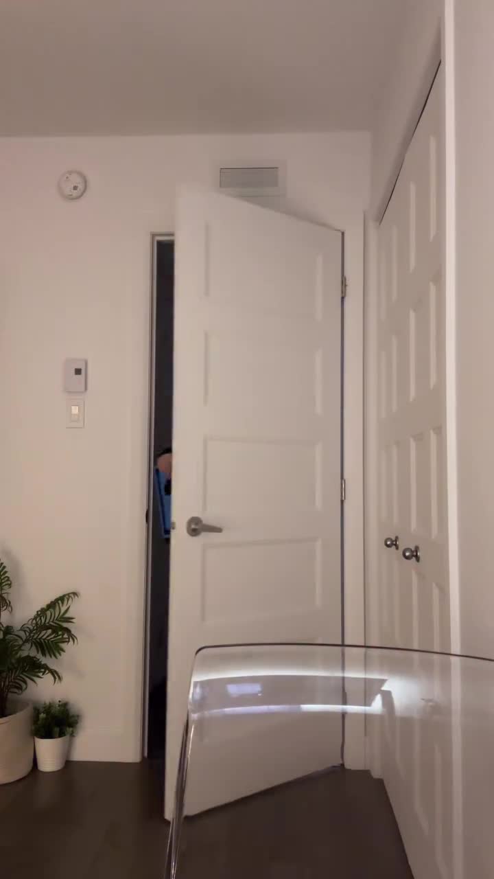 Video 785116 from Zasterini | Zastela