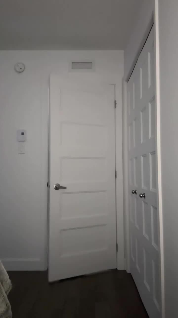 Video 785119 from Zasterini | Zastela