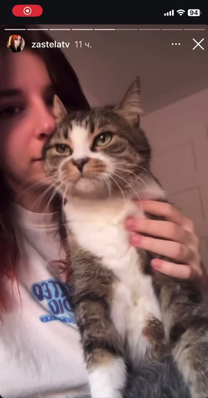 Video 785136 from Zasterini | Zastela