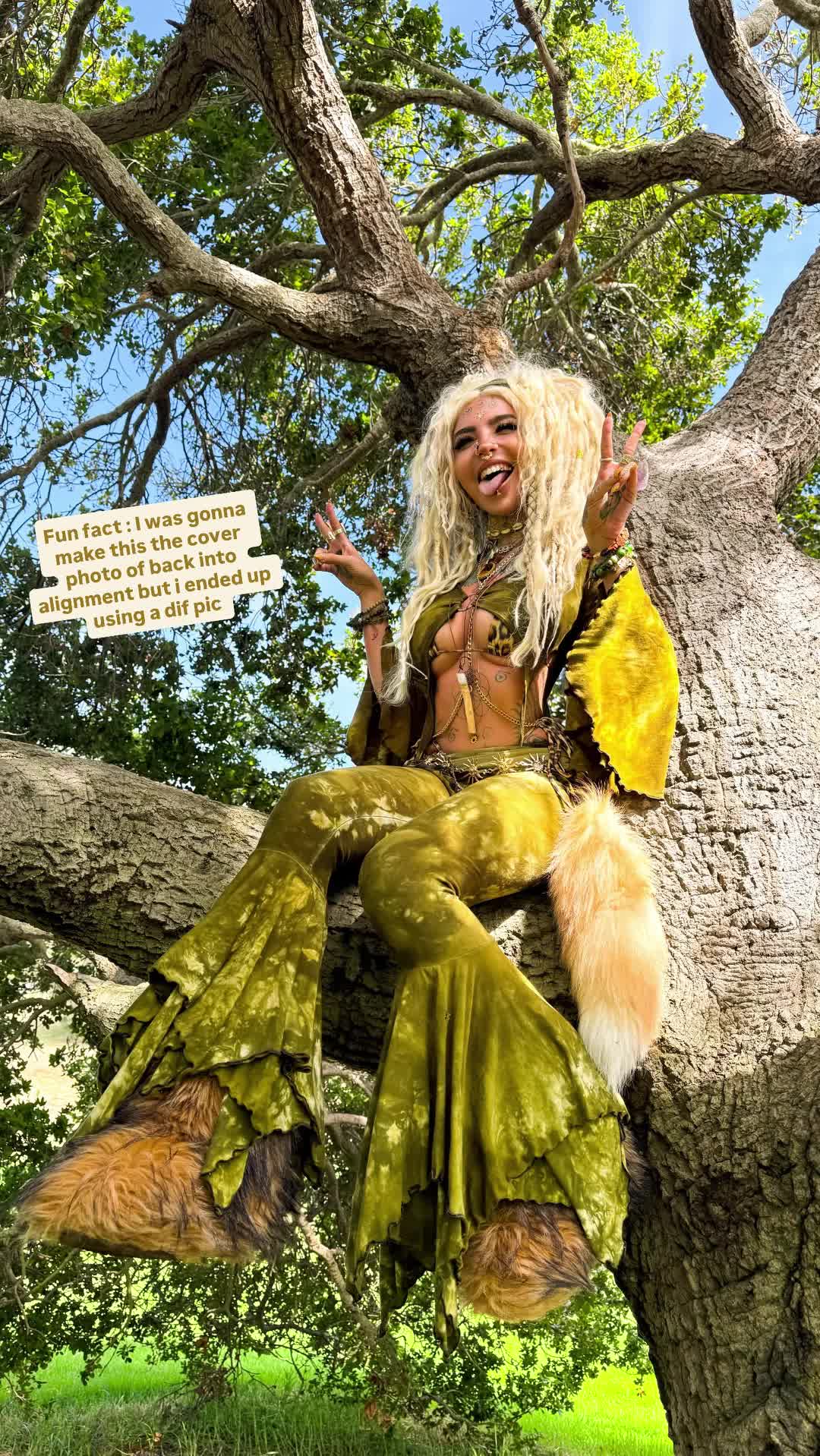 Video 795561 from Shanin Blake