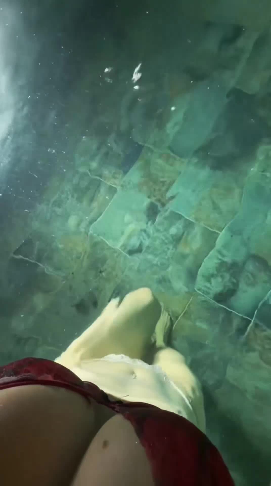 Video 795821 from Naz - @fraaoula