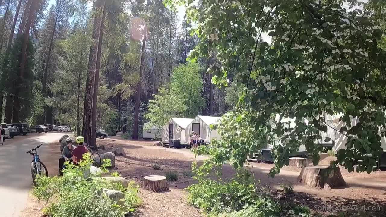 Video 798448 from Sofiegonewild / Fueledbystoners