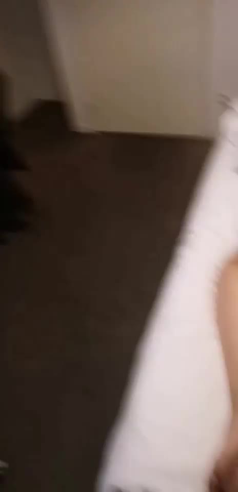 Video 798788 from Laure zecchi