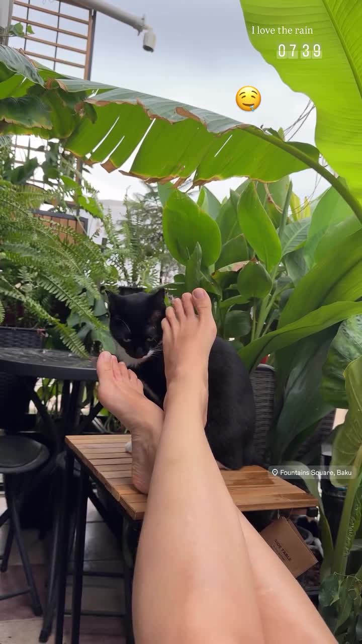 Video 800636 from Olesya bulletka
