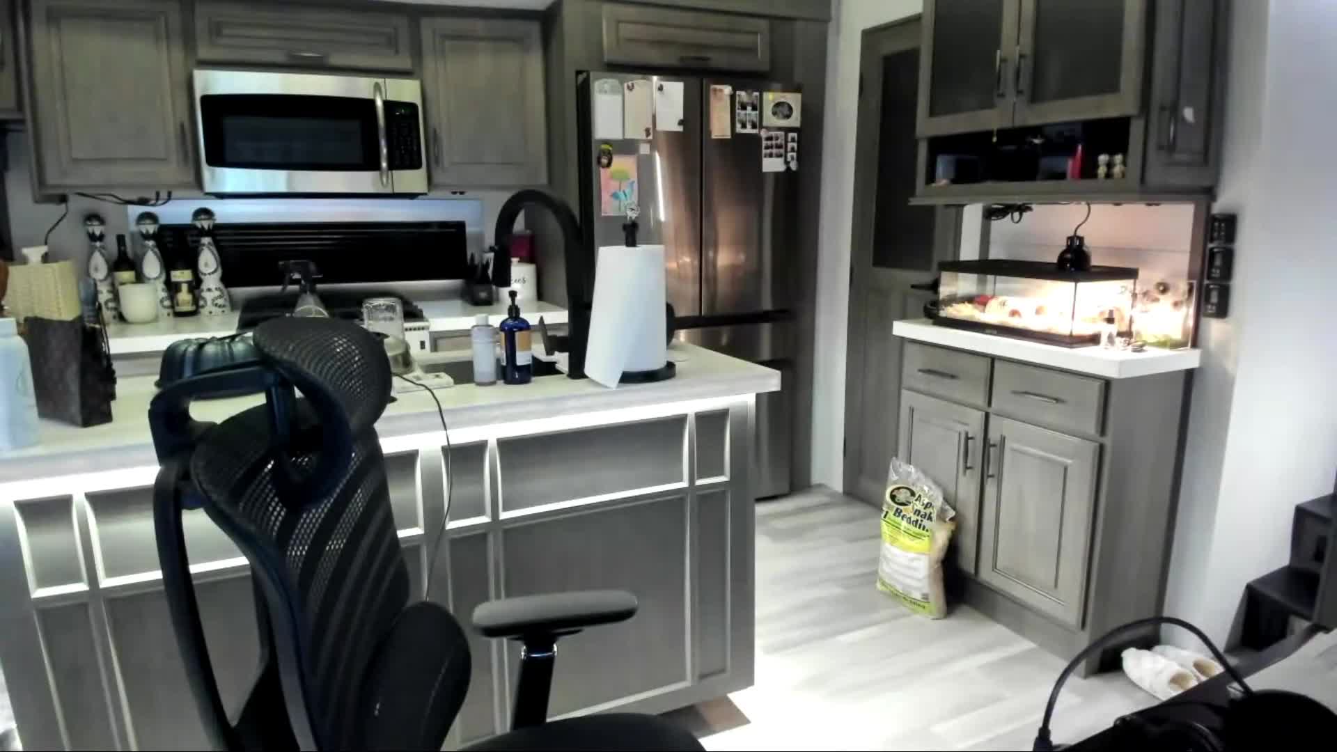 Video 803713 from Corinna Kopf