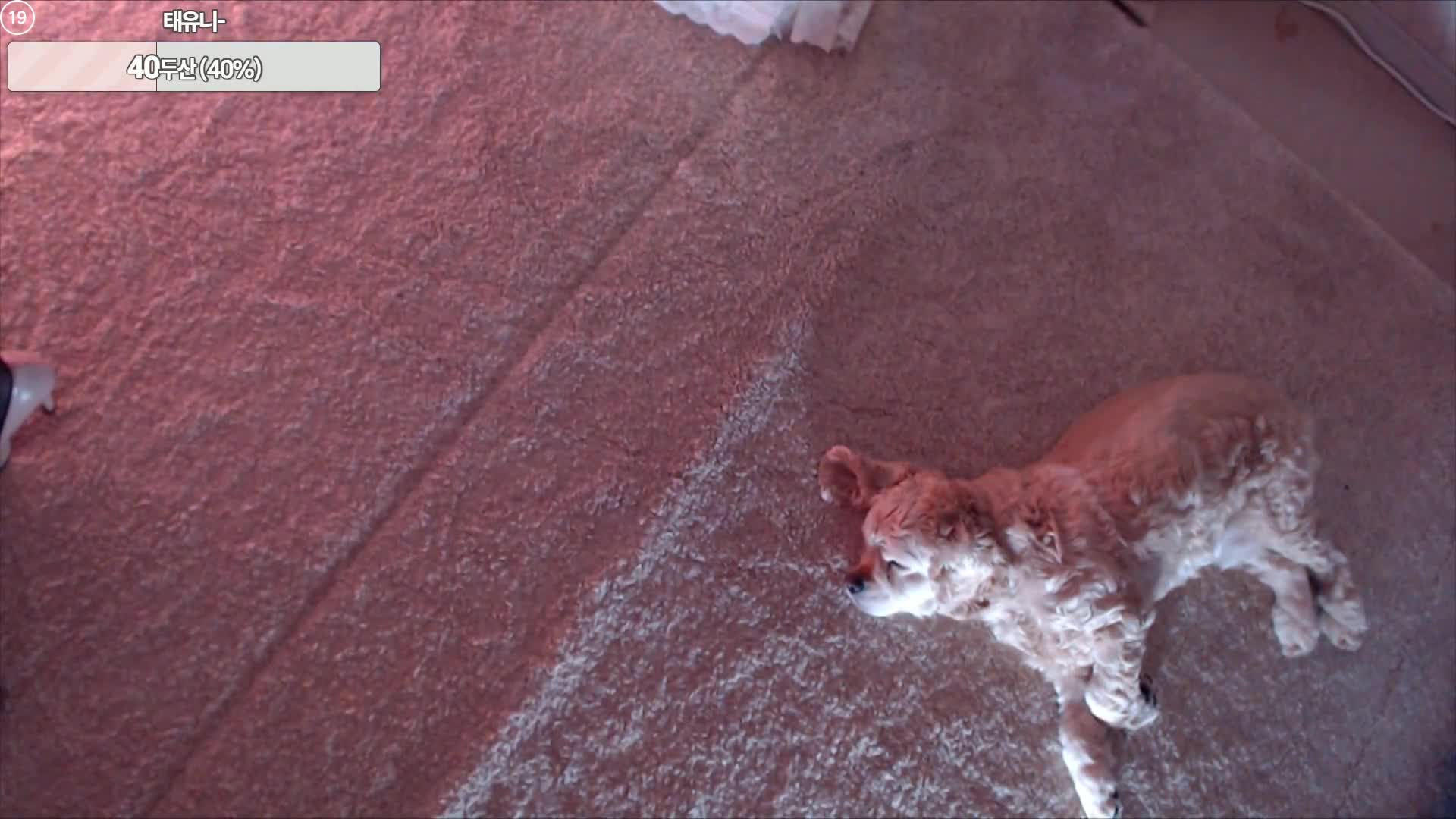 Video 804874 from pinktension 핑텐♥