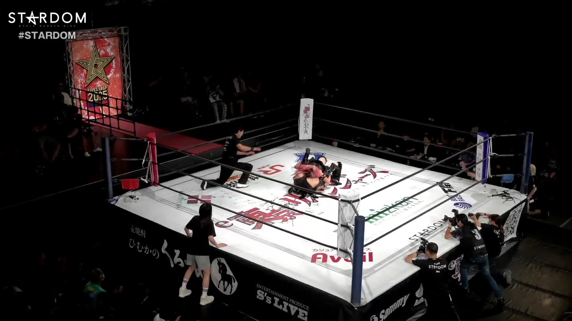 Video 809726 from Women of Joshi Puroresu