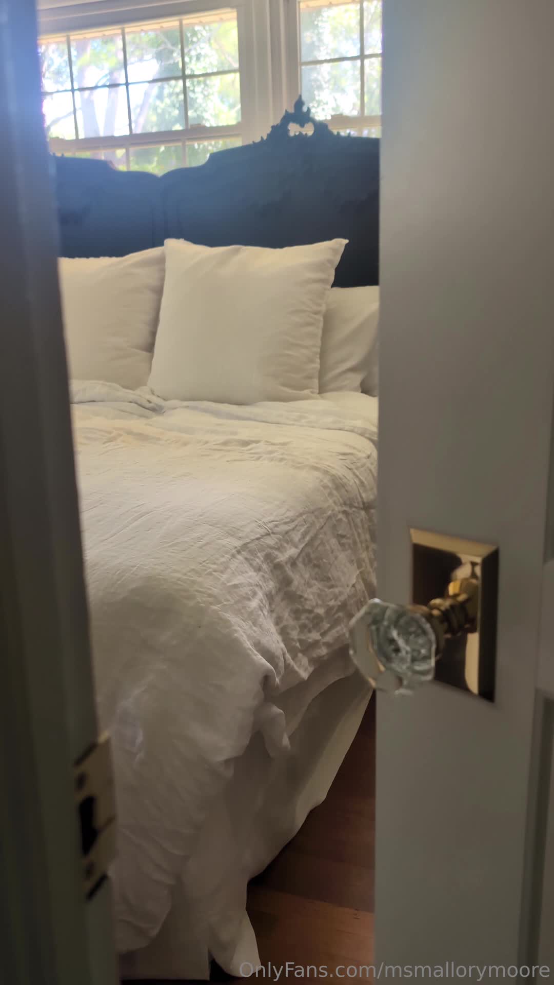 Video 812033 from ms.mallorymoore