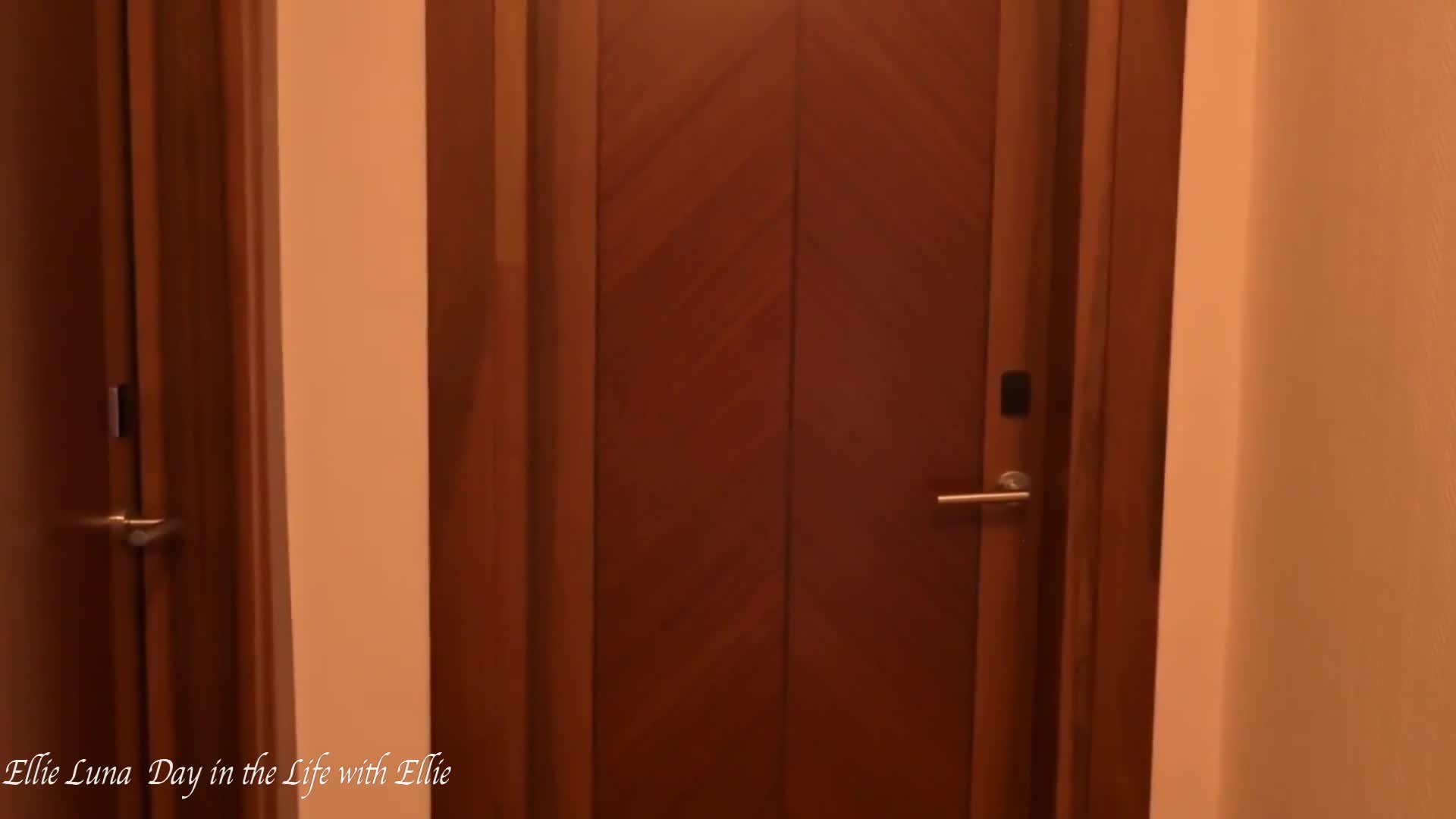 Video 812159 from bird.person / Ellie Luna