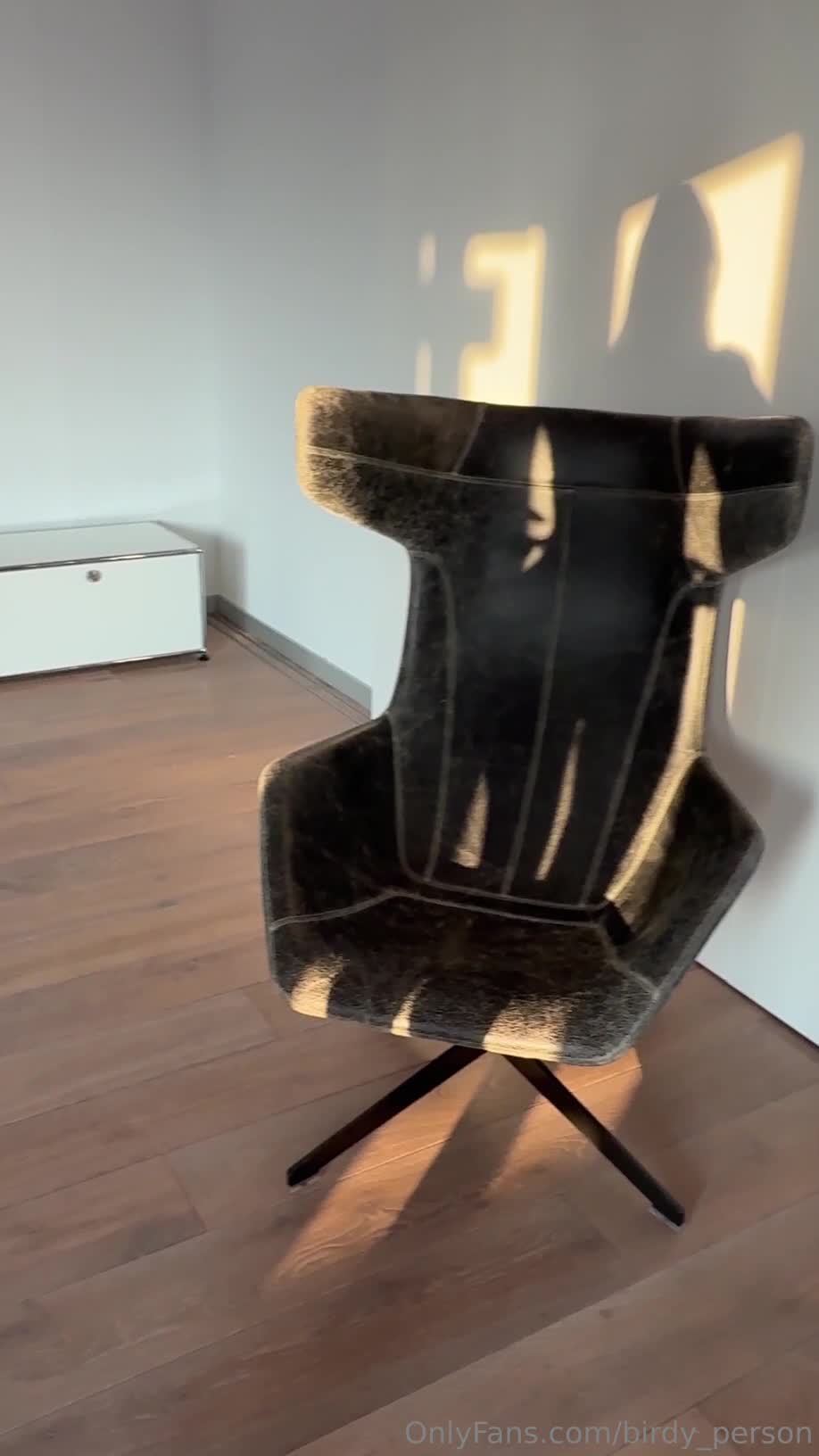Video 812186 from bird.person / Ellie Luna