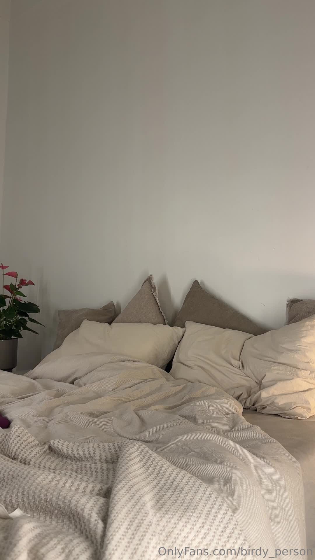 Video 812250 from bird.person / Ellie Luna