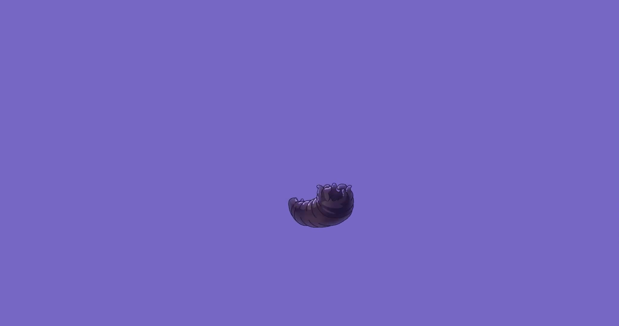 Video 812419 from bird.person / Ellie Luna
