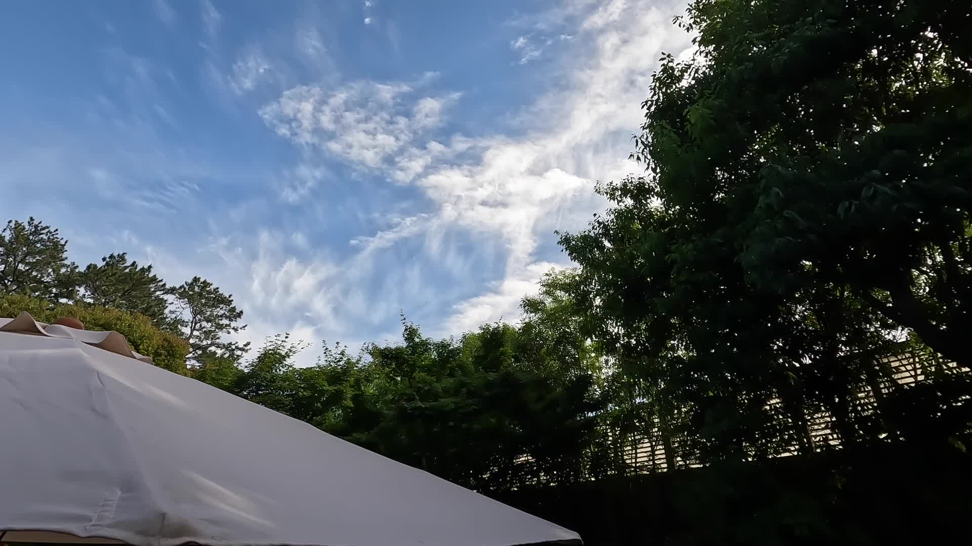 Video 814112 from Mugi Mugi ( 0mugi____mugi0 )