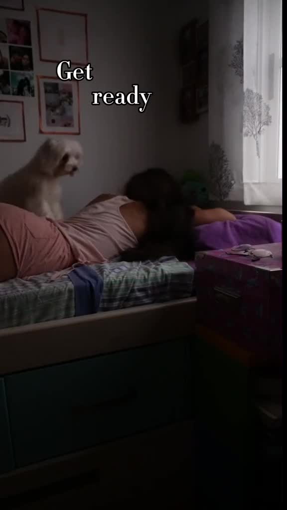 Video 818814 from Pandasmr