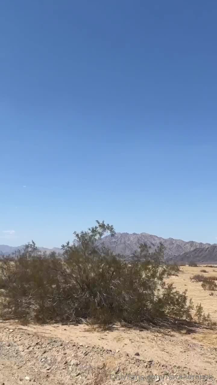 Video 831190 from Natalie Roush
