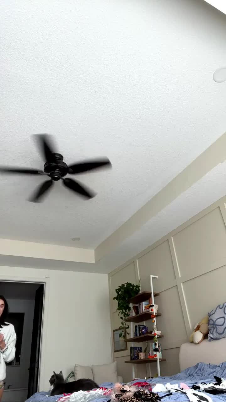 Video 831137 from Natalie Roush