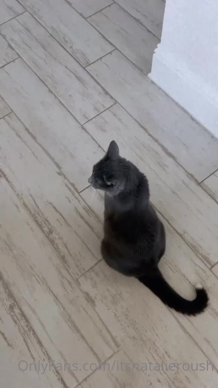 Video 831290 from Natalie Roush