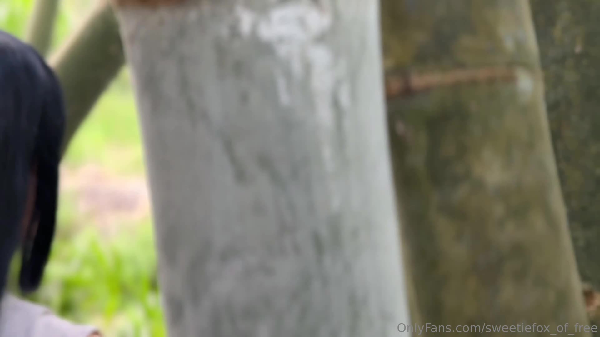 Video 835441 from Sweetie Fox / MoonFleur