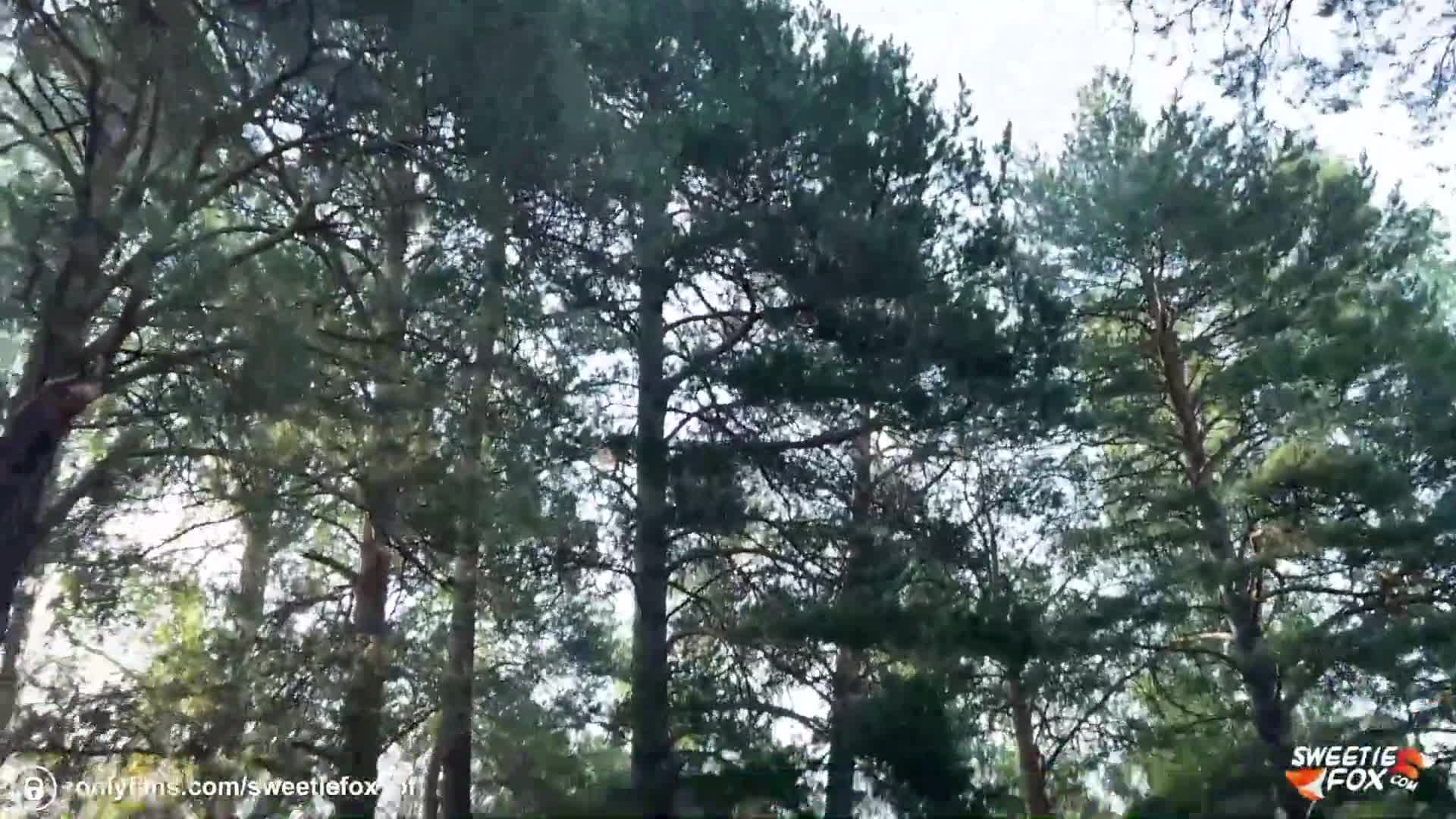 Video 835971 from Sweetie Fox / MoonFleur