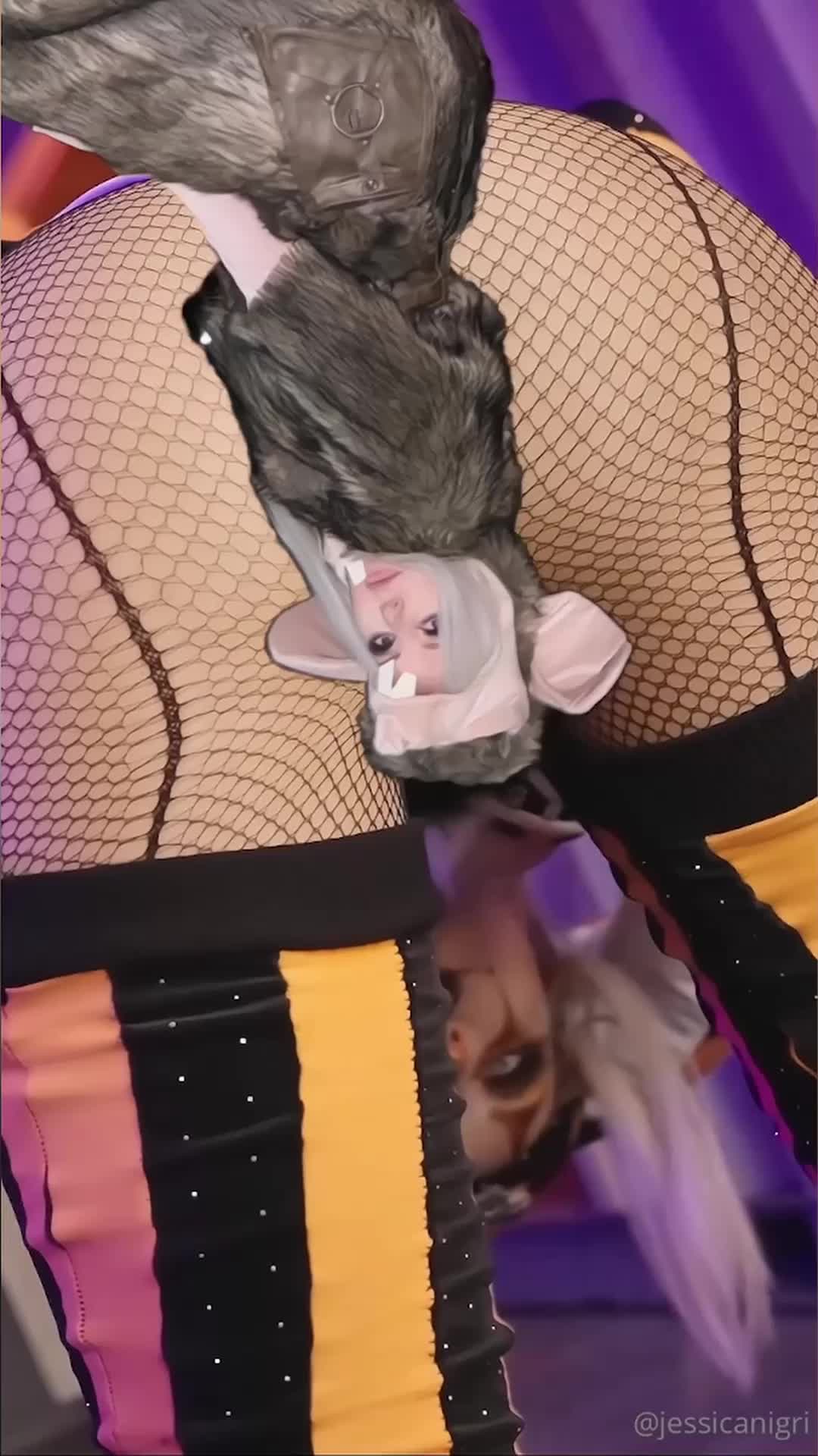 Video 836414 from Jessica Nigri